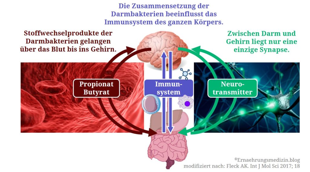 Ось кишечник мозг. Нейро картины. Blut Protocol.